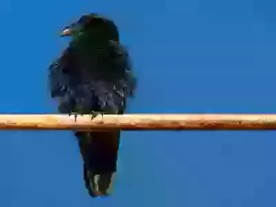 Small As Your Hand